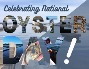 Happy National Oyster Day everyone! Today we celebrate not only this amazing super-food but also our incredible OysterGro farmers who dedicate their lives to cultivating them!