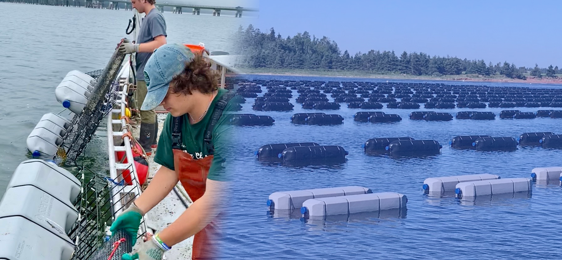OysterGro® The Complete Farming System